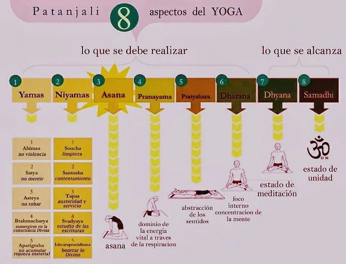 metodologia impartida por Alvaro Peloche en sus clases de yoga