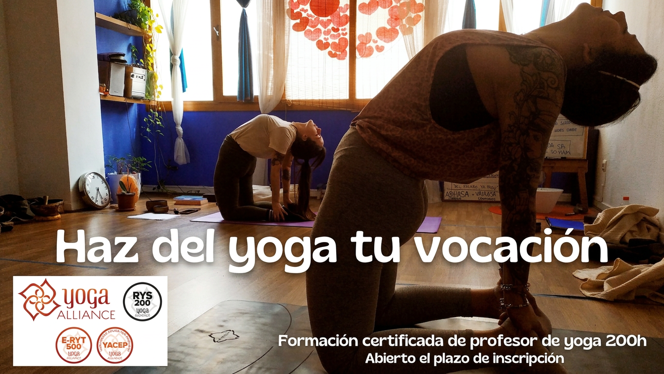 formacion de profesores de yoga